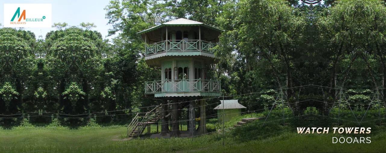 Watch Towers