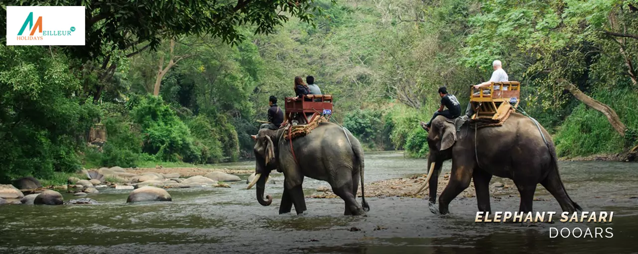 Dooars 5N/6D From NJP Tour Elephant Safari