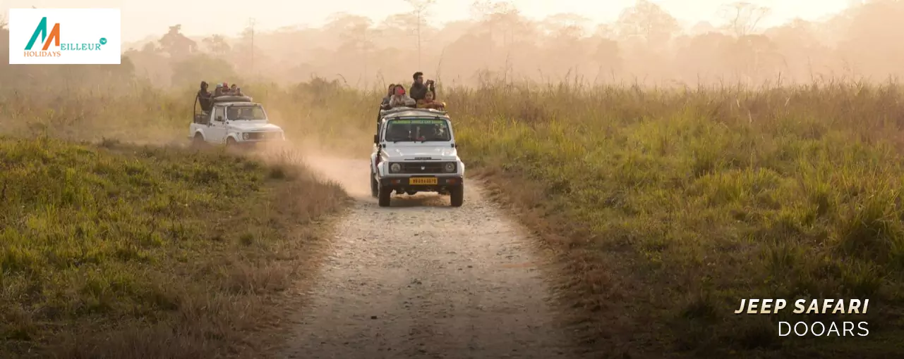 Jeep Safari