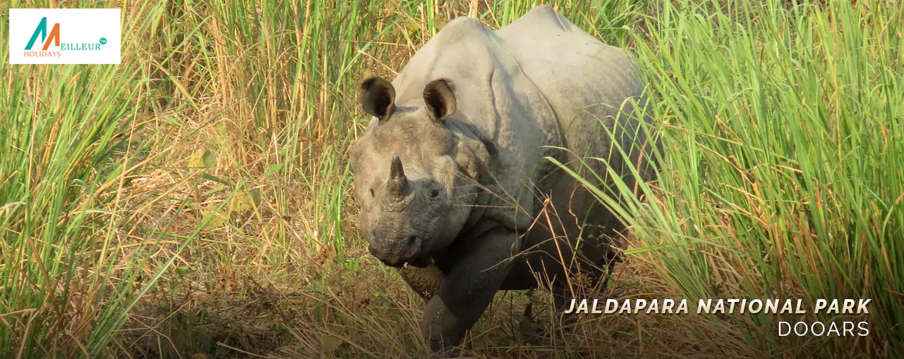 Dooars 5N/6D From NJP Tour jaldapara national park