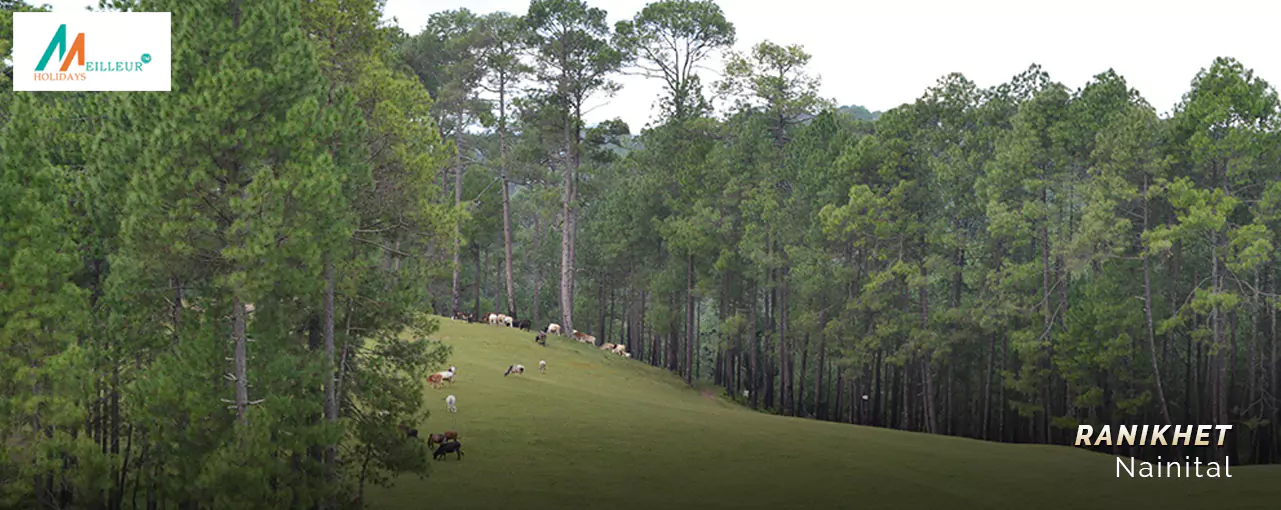 Nainital Package Ranikhet