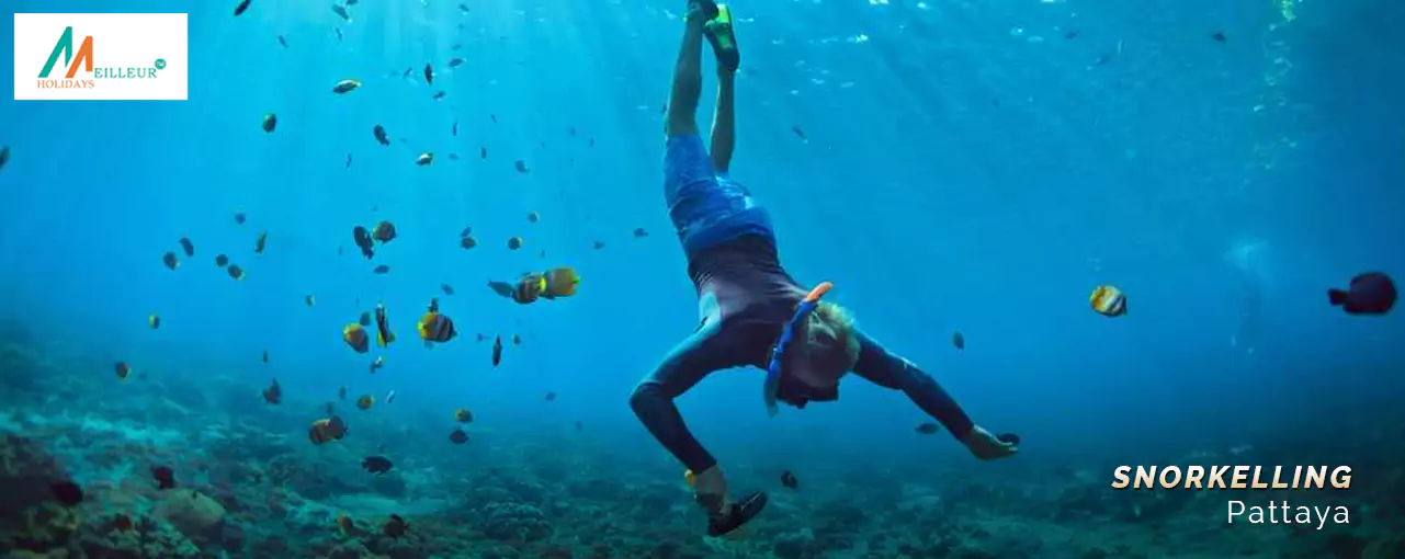 Discover  Bangkok Pattaya Phuket Krabi Tour Package