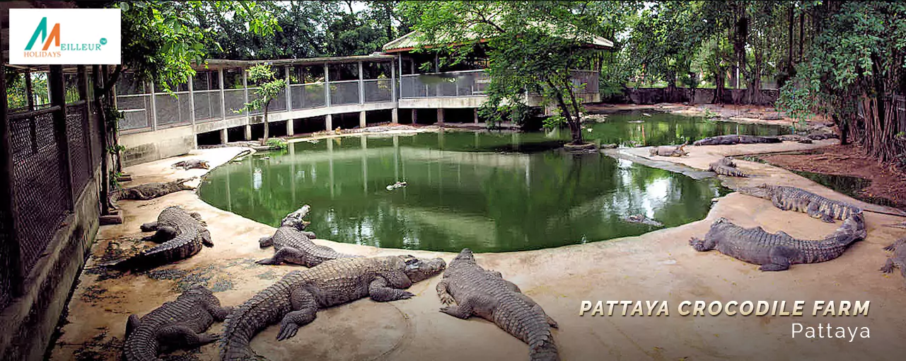 Top rated Bangkok Pattaya Phuket Krabi Tour Package