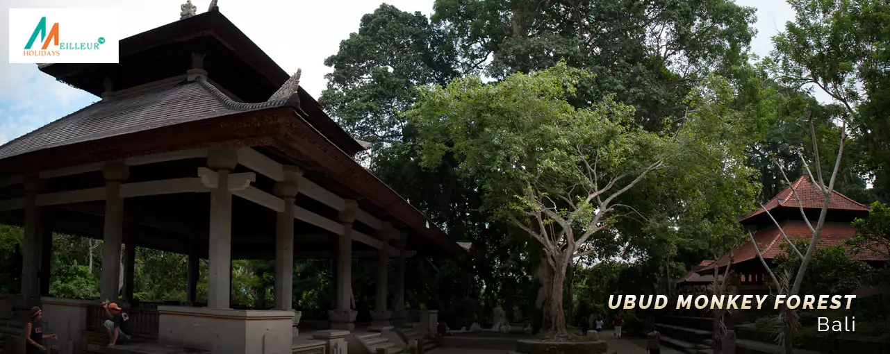 Ubud Monkey Forest