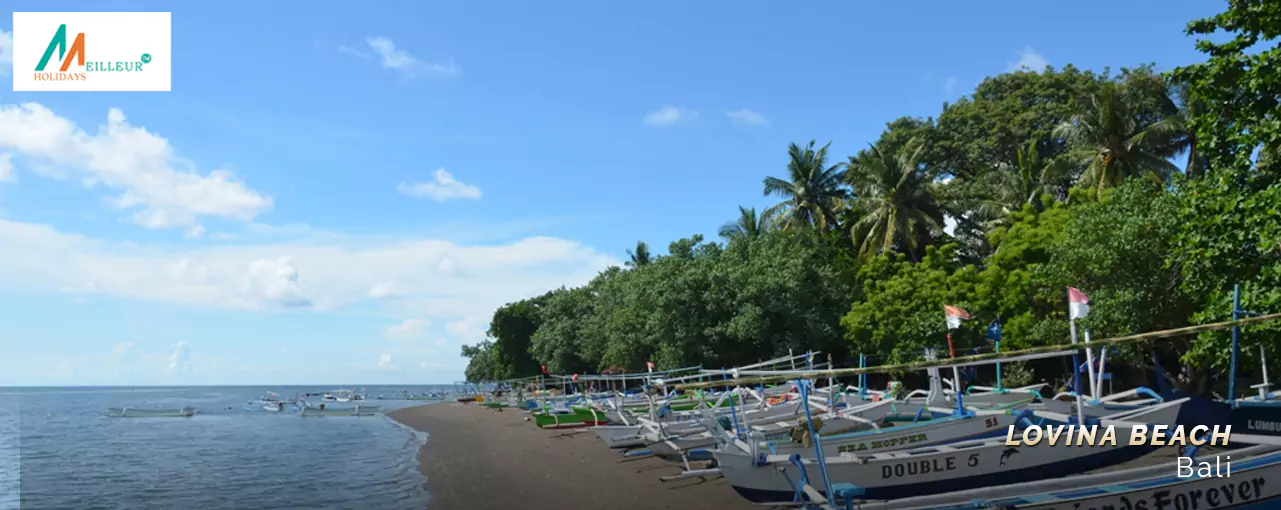 Lovina Beach