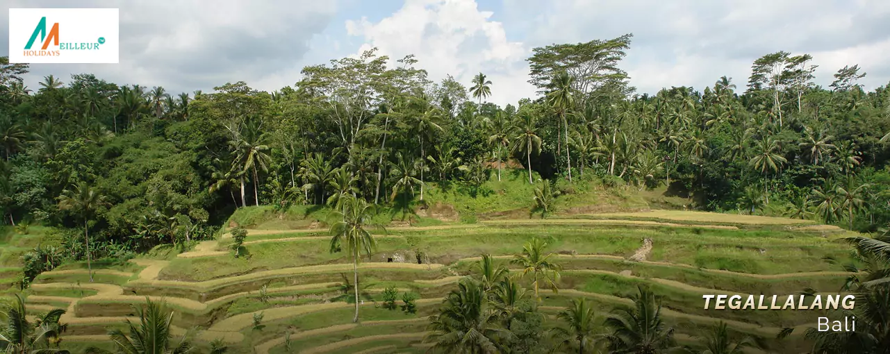 Tegallalang
