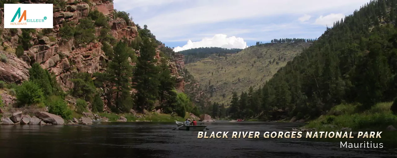 Black River Gorges National Park