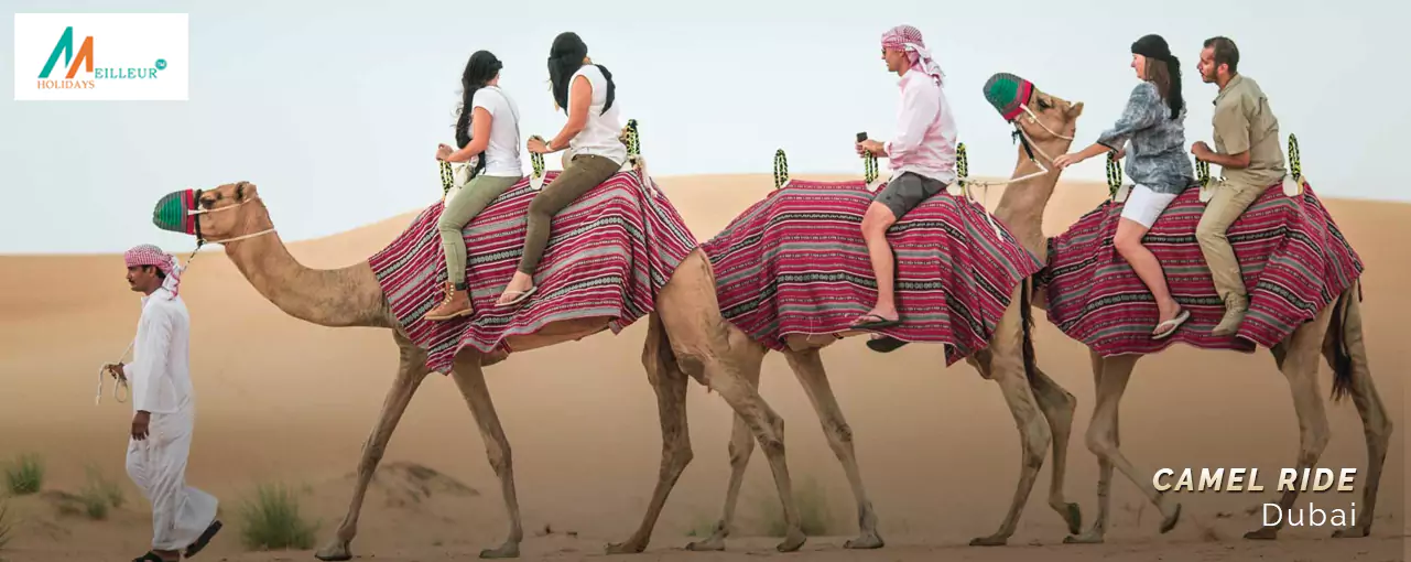 Dubai Tour Camel Ride Dubai