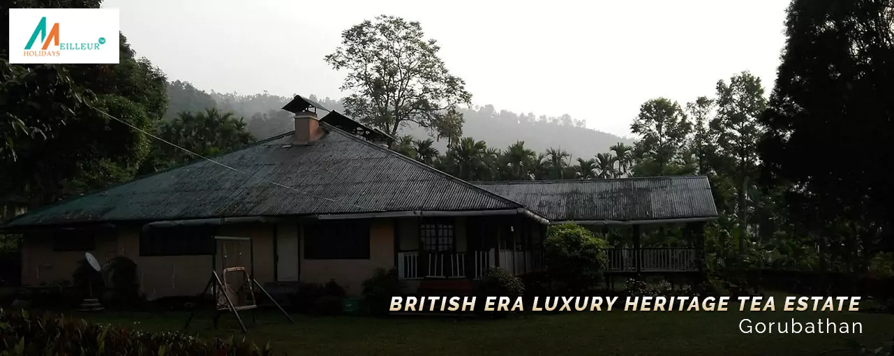 The Reserve Fagu British Era Luxury Heritage Tea Estate
