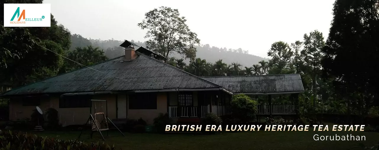 British Era Luxury Heritage Tea Estate