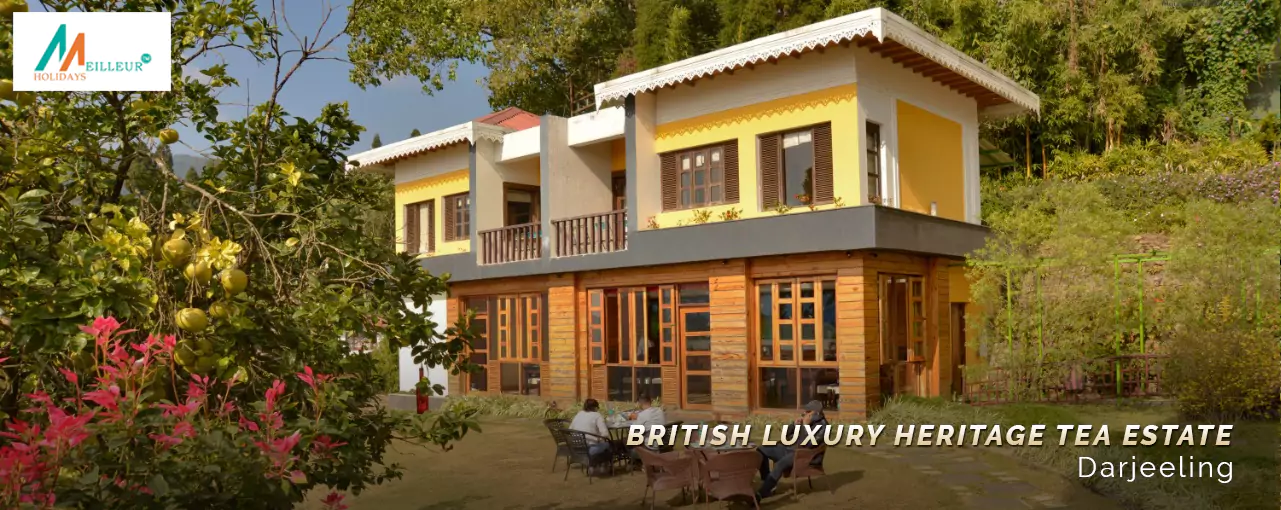 British Luxury Heritage Tea Estate