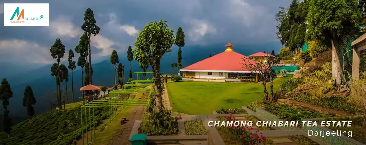 Chamong Chiabari Tea Estate