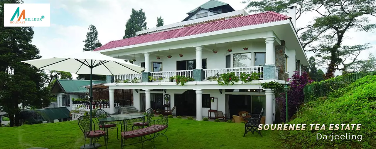 Sourenee Tea Estate