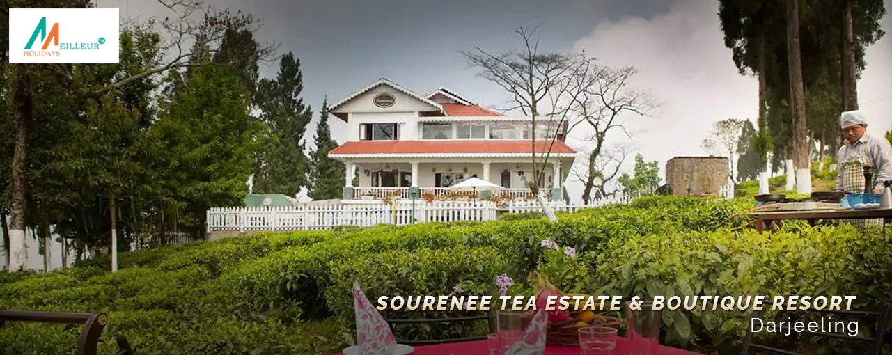 Sourenee Tea Estate & Boutique Resort