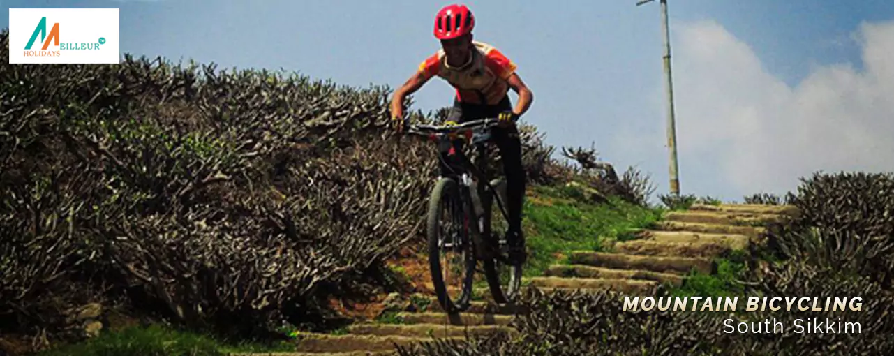 Mountain Bicycling