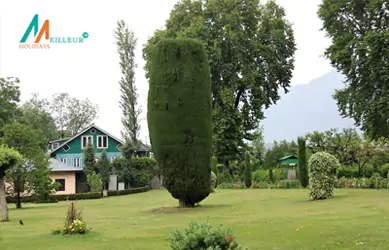 Offbeat Kashmir Package