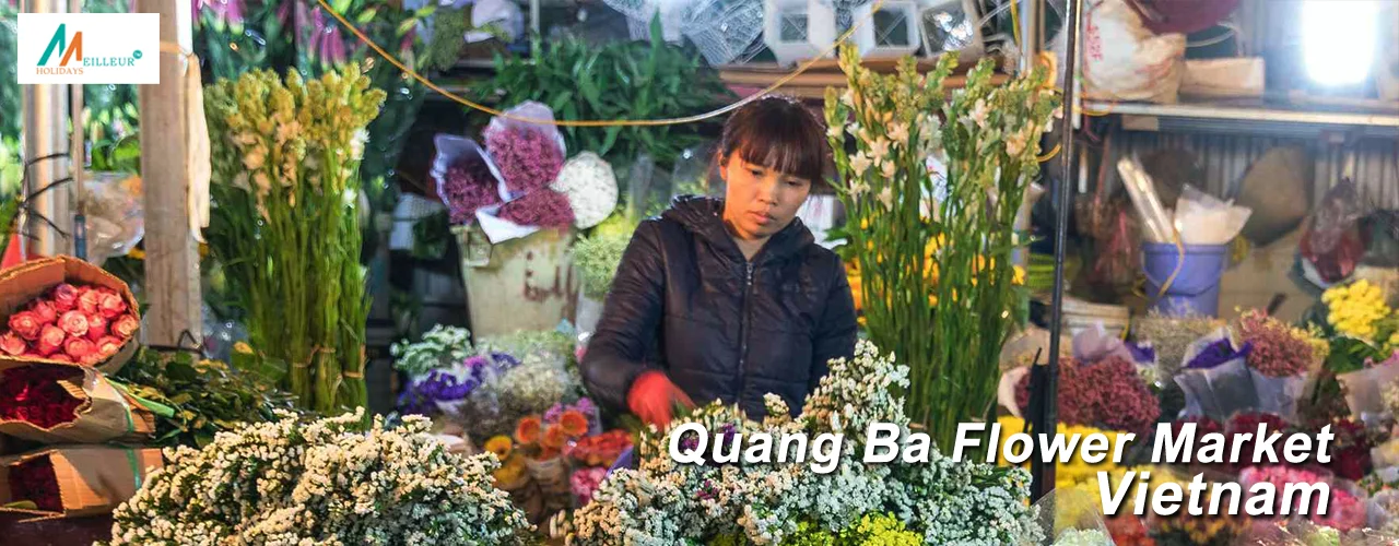 Vietnam Tour Quang Ba Flower Market
