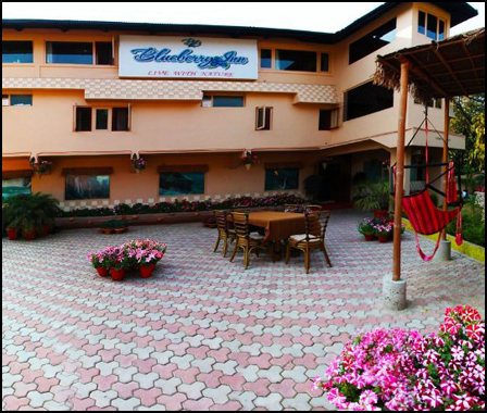 Hotel Info : Shillong - Guwahati - Cherrapunjee  Tour PacakgeDeluxe  - Blueberry Hotel Inn