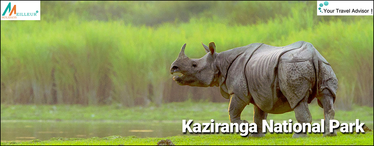 Assam - Meghalaya - Kaziranga Tour Packages