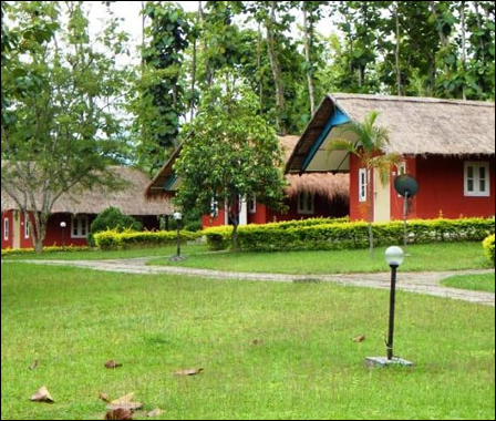 Hotel Info : KazirangaDhanashree Resort