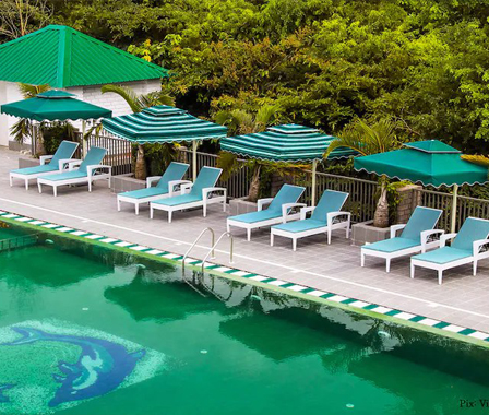 Hotel Info : KazirangaBorgose Hotel