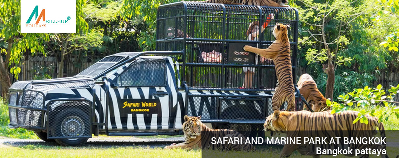 safari-and-marine-park-at-bangkok_Bangkok-pattaya-durga-puja-group-departure