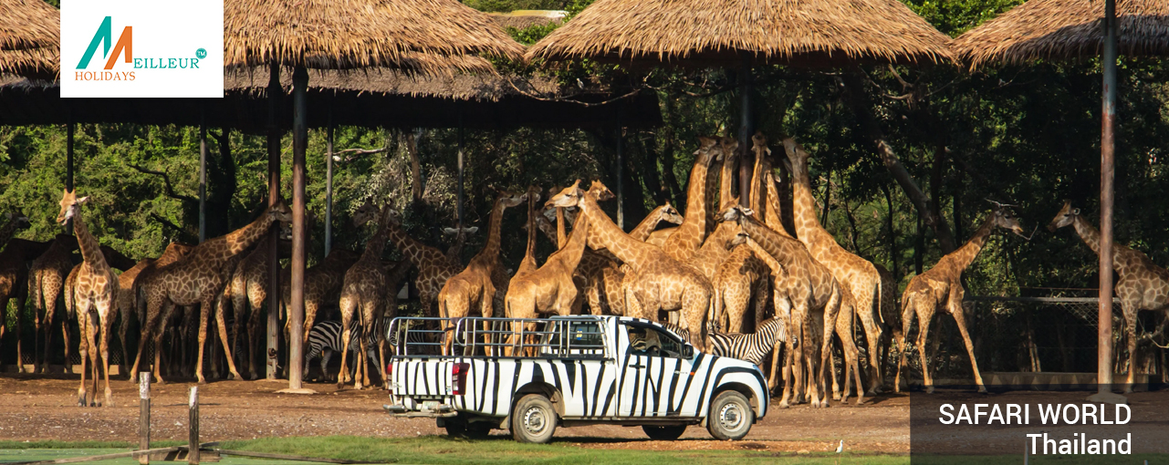 safari-world_Bangkok-Pattaya-Tour-Package