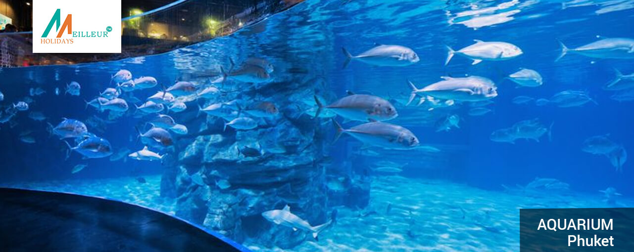 aquarium_Phuket-Krabi-Tour