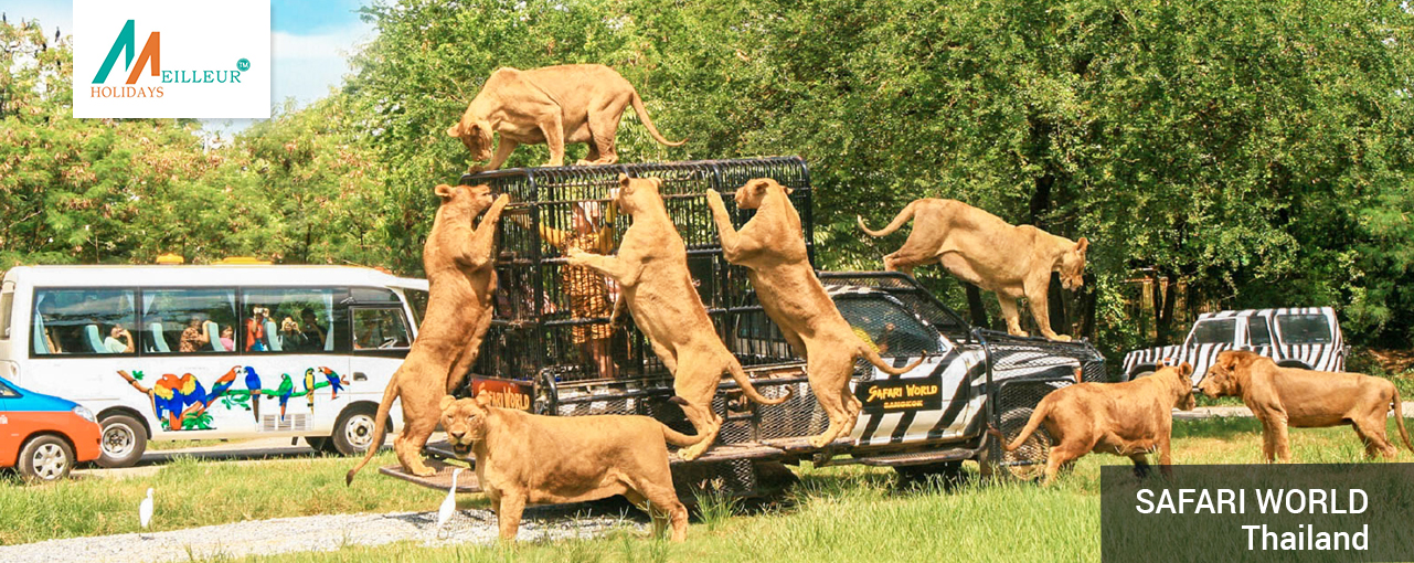 05_safari-world-thailand_Koh-Samui-Bangkok-Tour