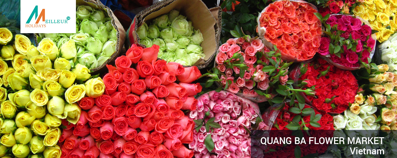 07_quang-ba-flower-market_Vietnam-Tour-Package