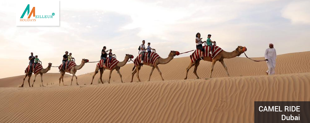 03_camel-ride_Dubai-Tour-Package