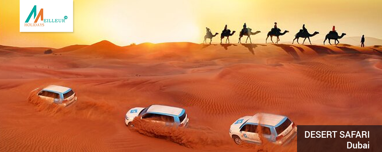 05_desert-safari_Dubai-Tour-Package