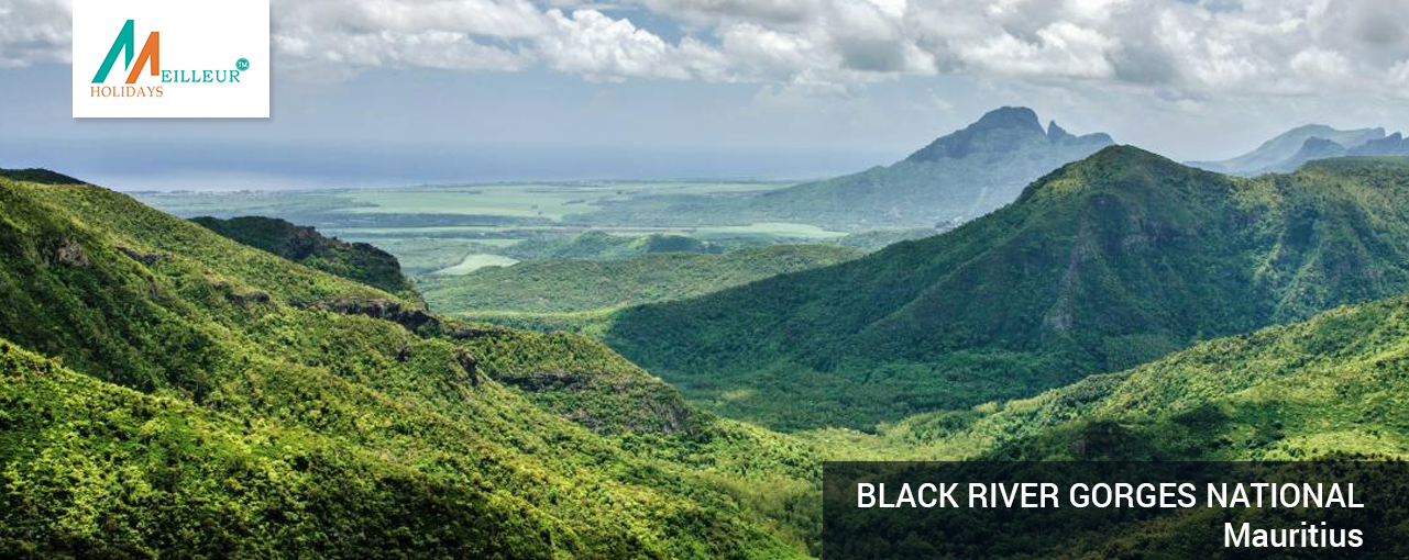 01_black-river-gorges-national_Mauritius-Tour