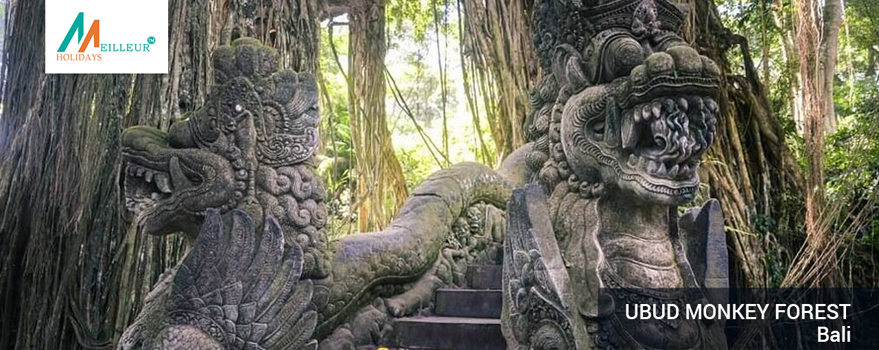 07_ubud-monkey-forest-Bali-Tour-Package