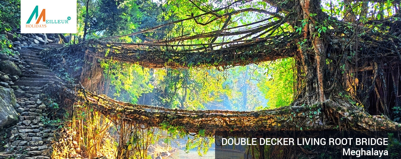 01_double-decker-living-root-bridge_SHILLONG-CHERRAPUNJI