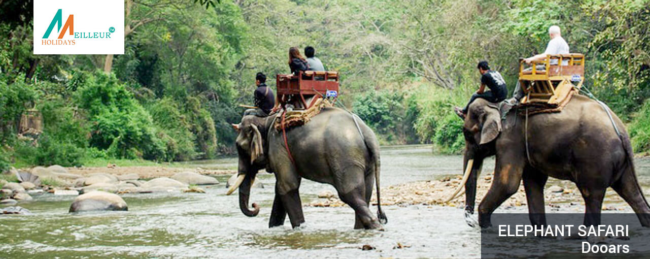 03_elephant-safari_dooars