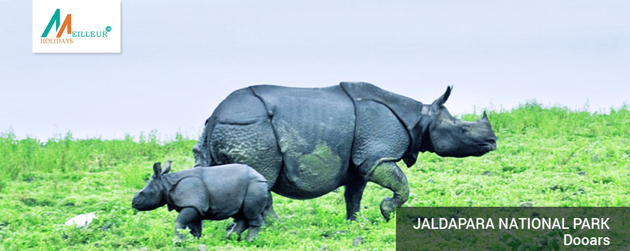 05_jaldapara-national-parks_dooars