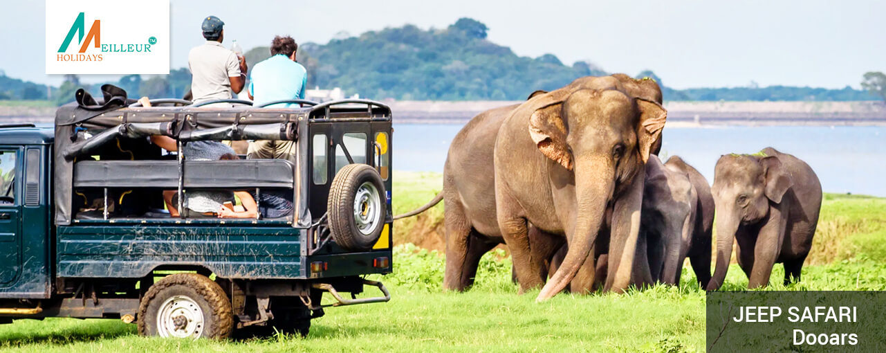 06_Jeep-safar_dooars