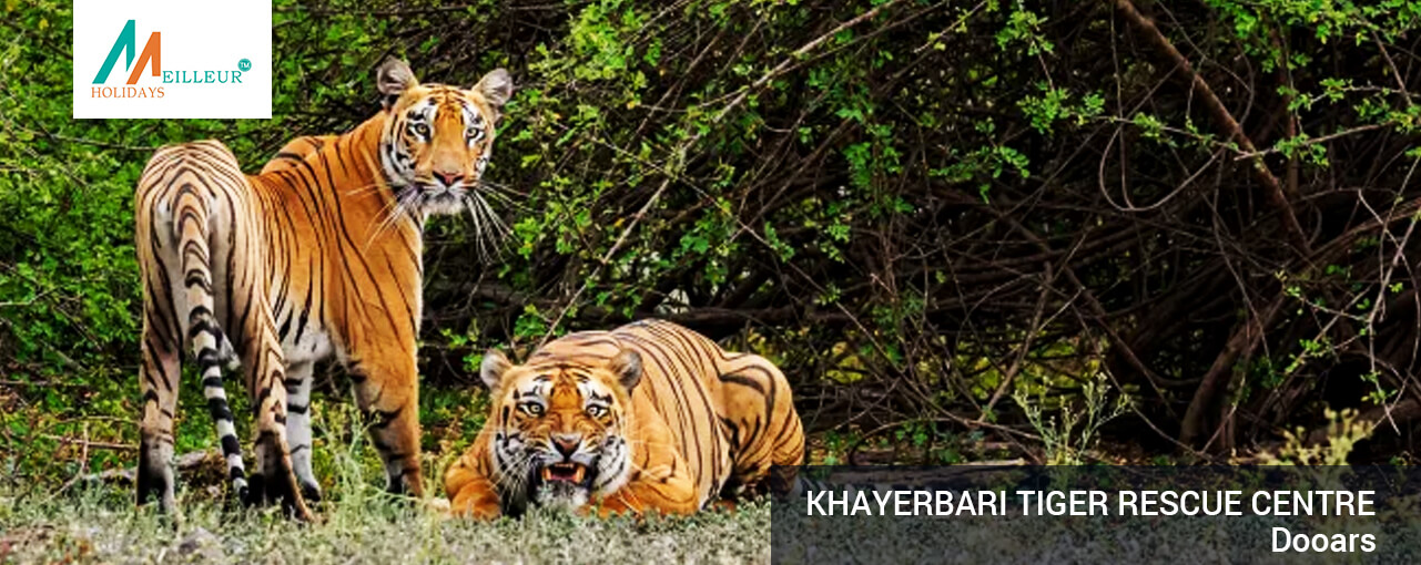 07_khayerbari-tiger-rescue-centre_dooars