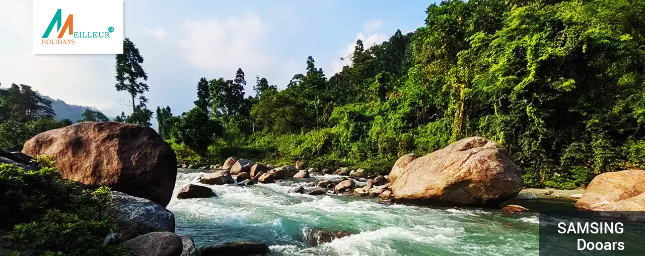 09_samsing_dooars