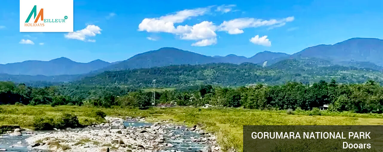 03_gorumara-national-park_Dooars-4n-&-5d-Tour-Package