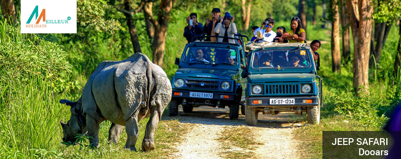 04_jeep-safari_Dooars-4n-&-5d-Tour-Package