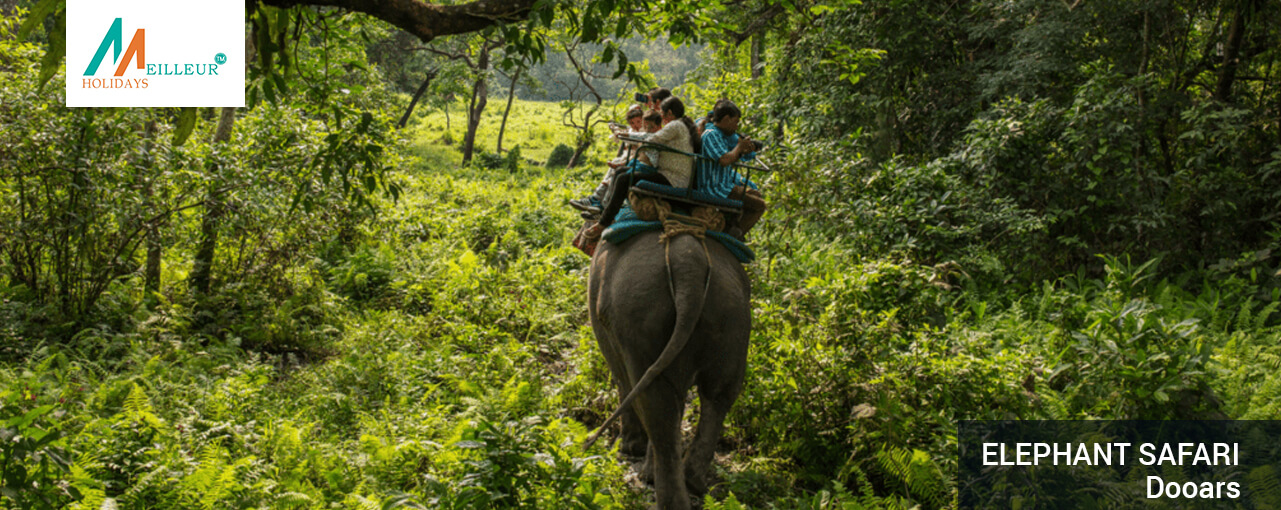 02_elephant-safari-_Dooars-4n-&-5d-Tour-Package
