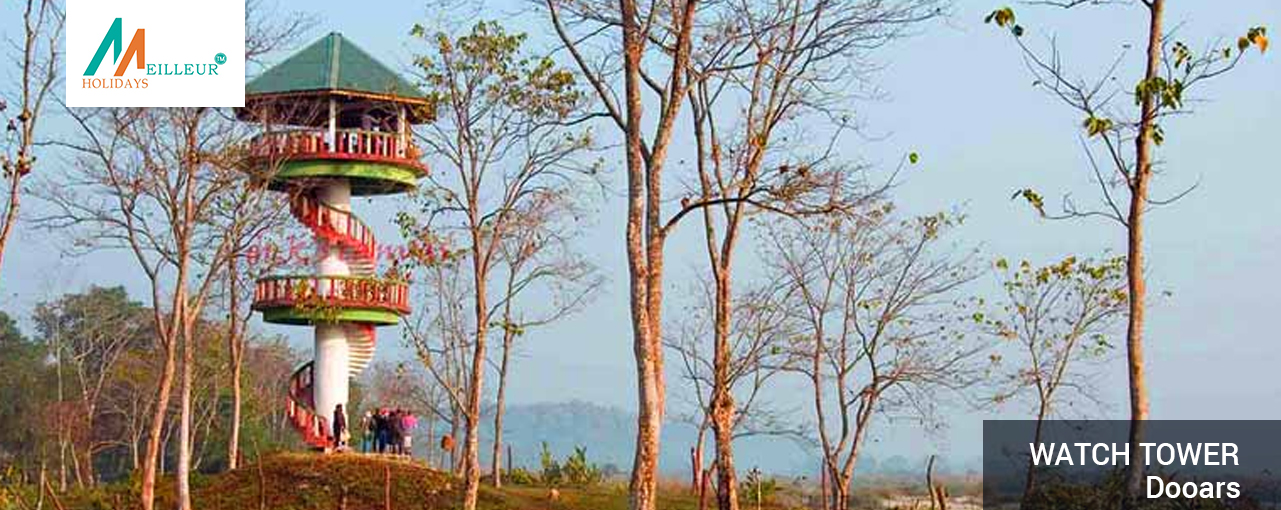 01_watch-tower_Dooars-Dooars 5N_6D From NJP Tour