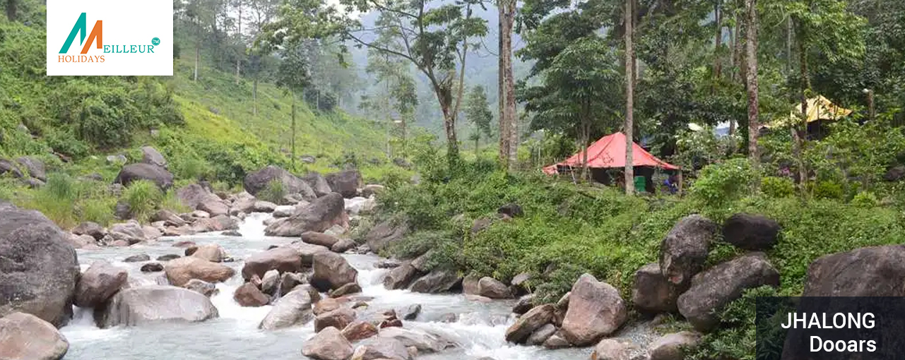 02_jhalong-dooars_Dooars-Dooars 5N_6D From NJP Tour
