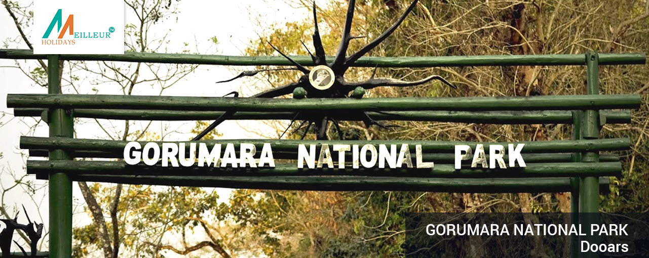 04_gorumara-national-park_Dooars-Dooars 5N_6D From NJP Tour