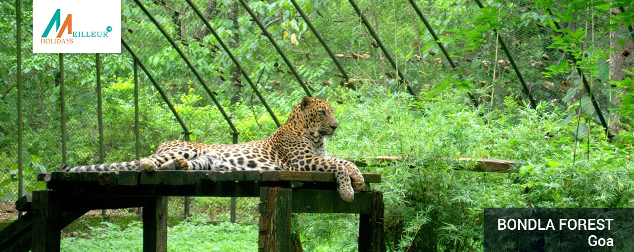 03_bondla-forest_GOA-TOUR-PACKAGES