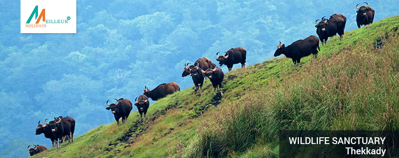 03_wildlife-sanctuary_Kerala-Tour-Packages-6N--7D