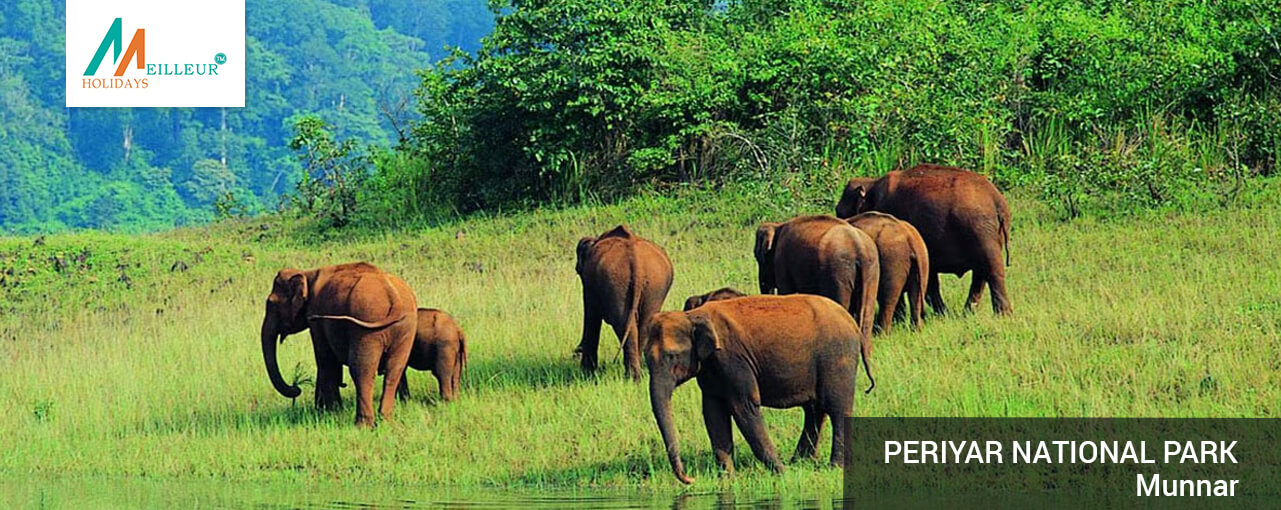 03_periyar-national-park-_KERALA-TOUR-PACKAGE
