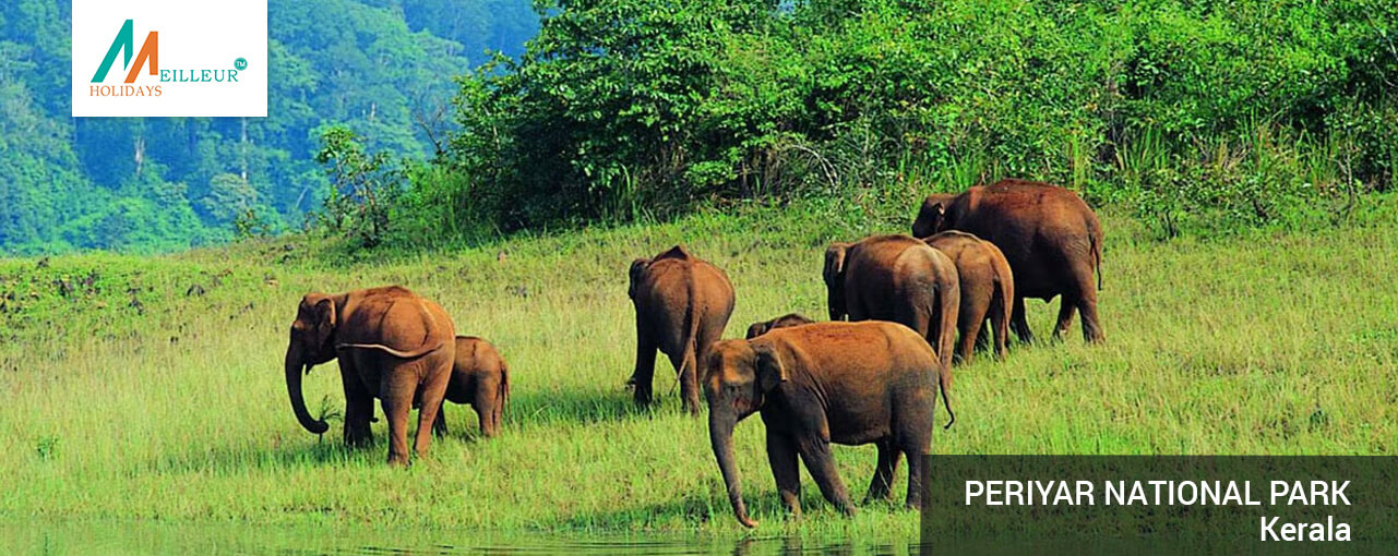05_periyar-national-park_Kerala-Premium-Package